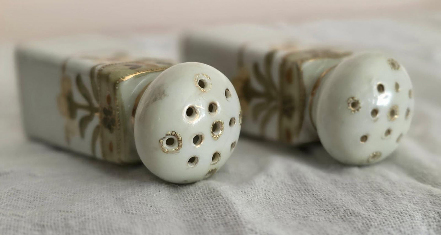 Antique Noitake Moriage Salt and Pepper Shakers- Hand painted - Circa 1920-1930- Collector's Item