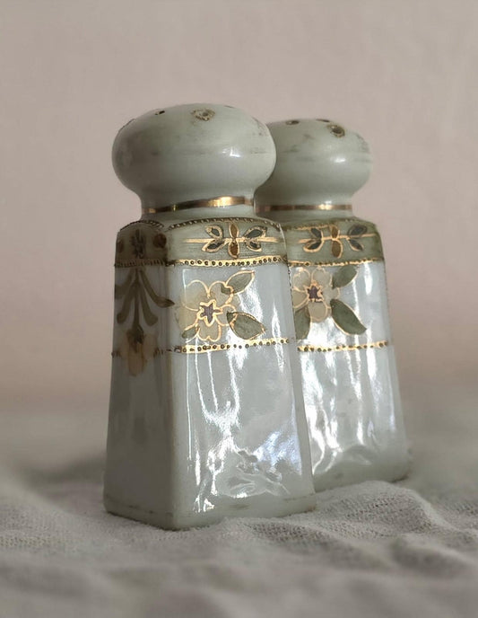 Antique Noitake Moriage Salt and Pepper Shakers- Hand painted - Circa 1920-1930- Collector's Item