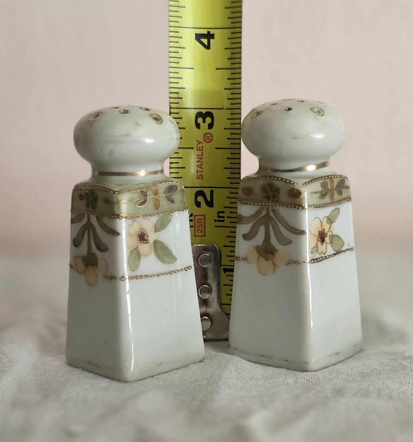 Antique Noitake Moriage Salt and Pepper Shakers- Hand painted - Circa 1920-1930- Collector's Item